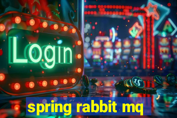 spring rabbit mq