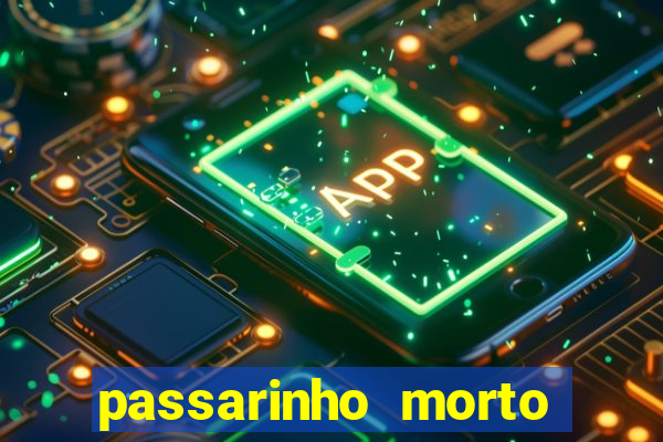 passarinho morto significado espiritual