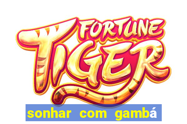 sonhar com gambá jogo do bicho