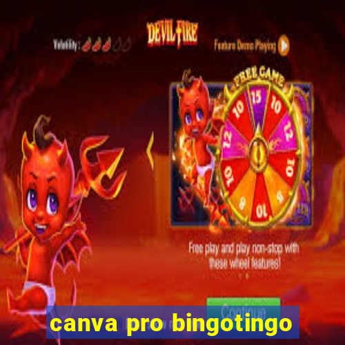 canva pro bingotingo