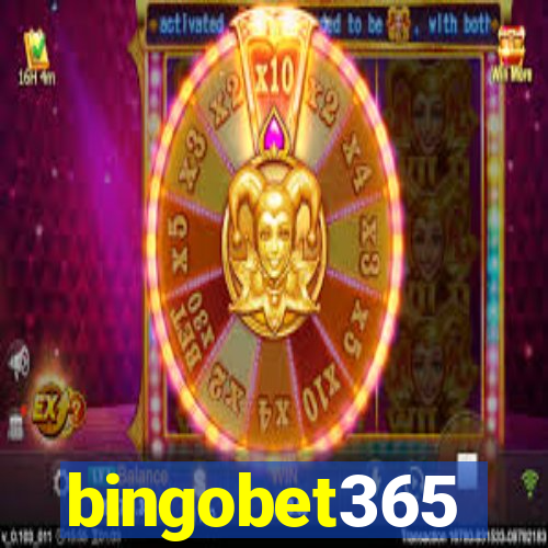 bingobet365