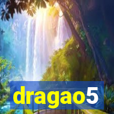 dragao5