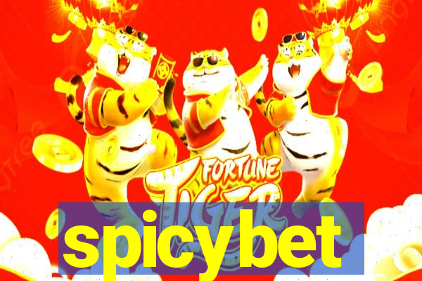 spicybet-4.com