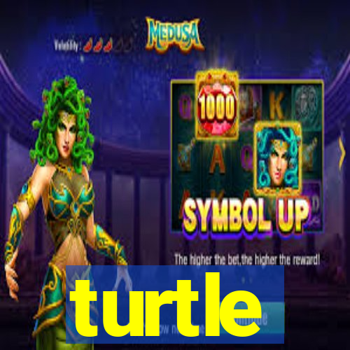 turtle-ty.com