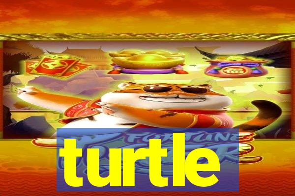 turtle-ty.com