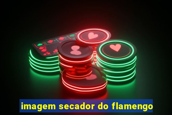 imagem secador do flamengo