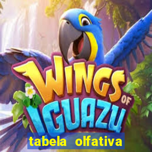 tabela olfativa amei cosméticos