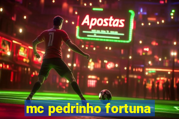 mc pedrinho fortuna