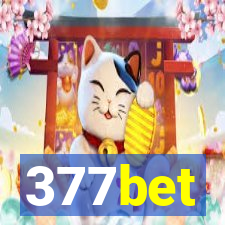 377bet