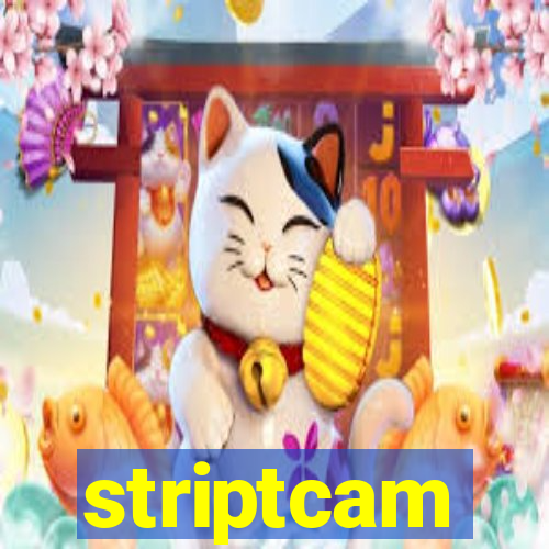 striptcam